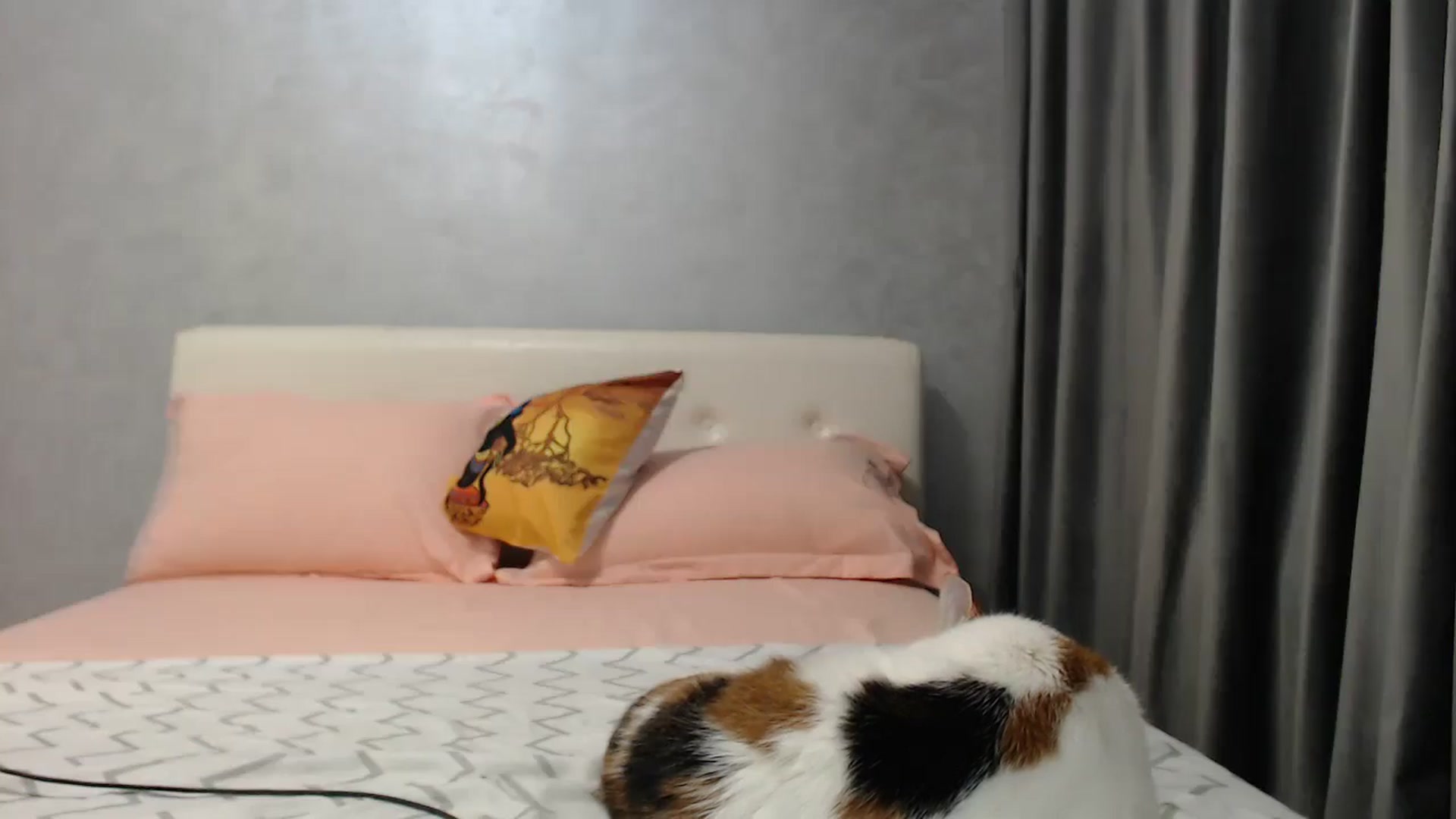 Gallery image thumbnail from Aahh_Emilia's myfreecams stream on, 04/22/2025, 16:48 image 13 of 20