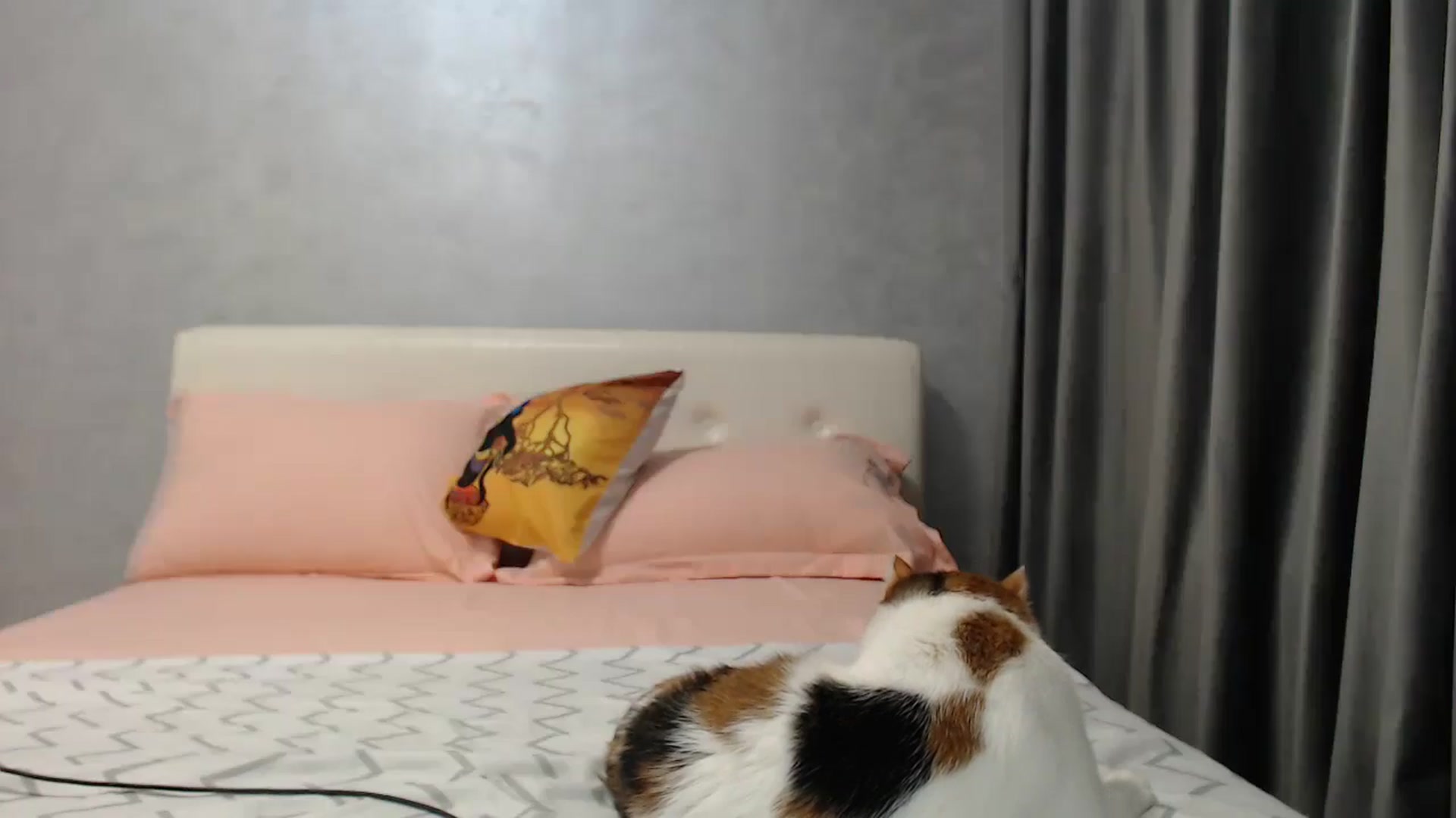 Gallery image thumbnail from Aahh_Emilia's myfreecams stream on, 04/22/2025, 16:48 image 12 of 20