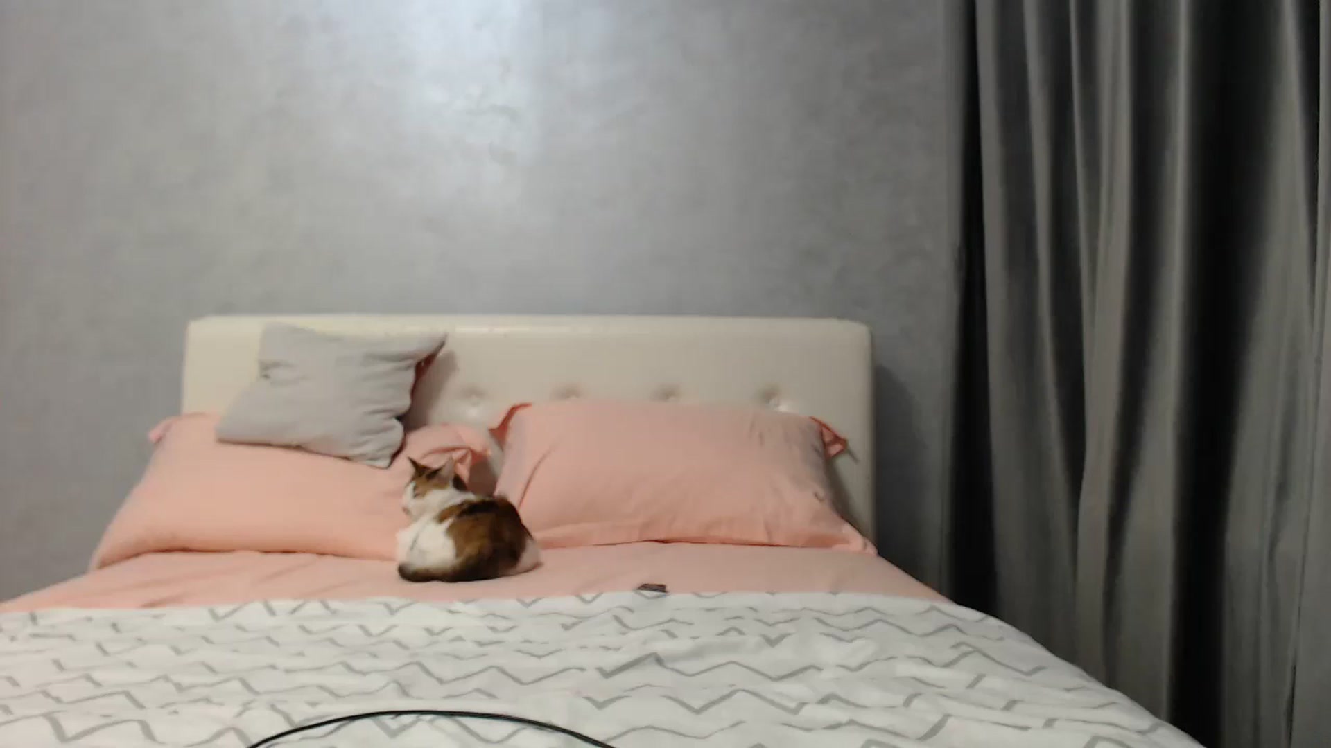 Gallery image thumbnail from Aahh_Emilia's myfreecams stream on, 04/29/2025, 17:39 image 6 of 20