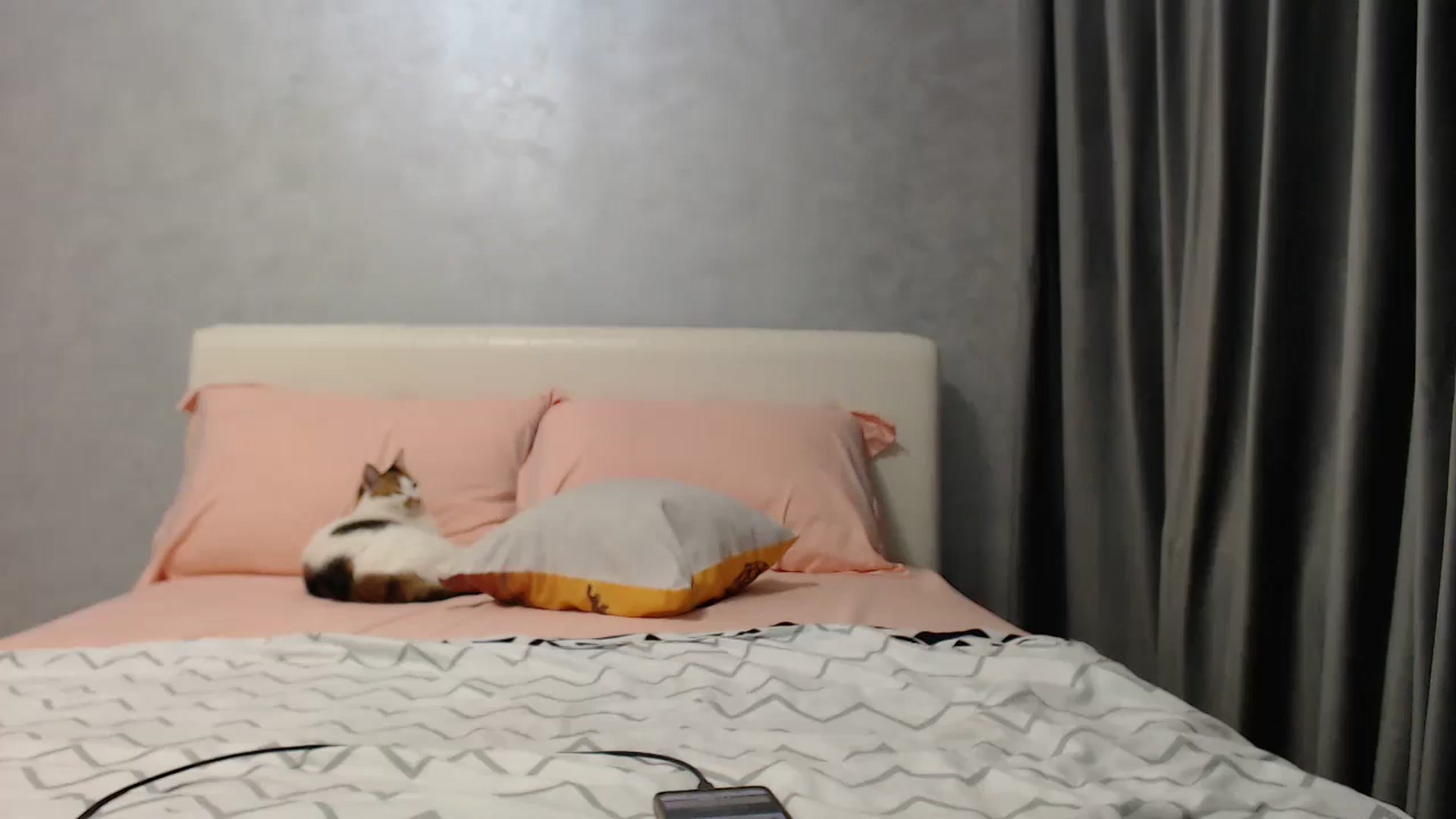 Gallery image thumbnail from Aahh_Emilia's myfreecams stream on, 04/30/2025, 16:33 image 10 of 20