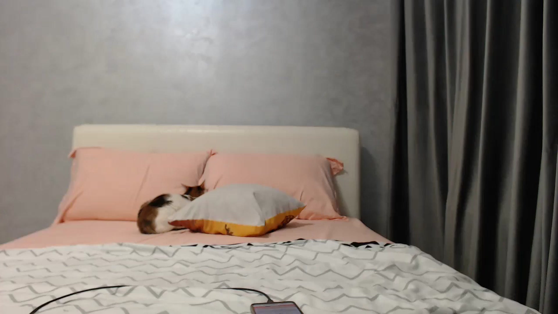Gallery image thumbnail from Aahh_Emilia's myfreecams stream on, 04/30/2025, 16:33 image 12 of 20