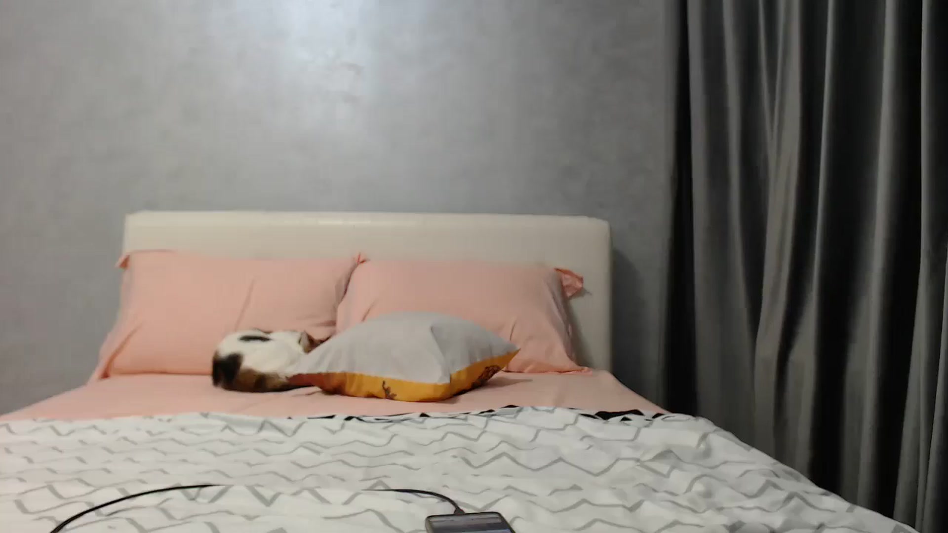 Gallery image thumbnail from Aahh_Emilia's myfreecams stream on, 04/30/2025, 16:33 image 8 of 20