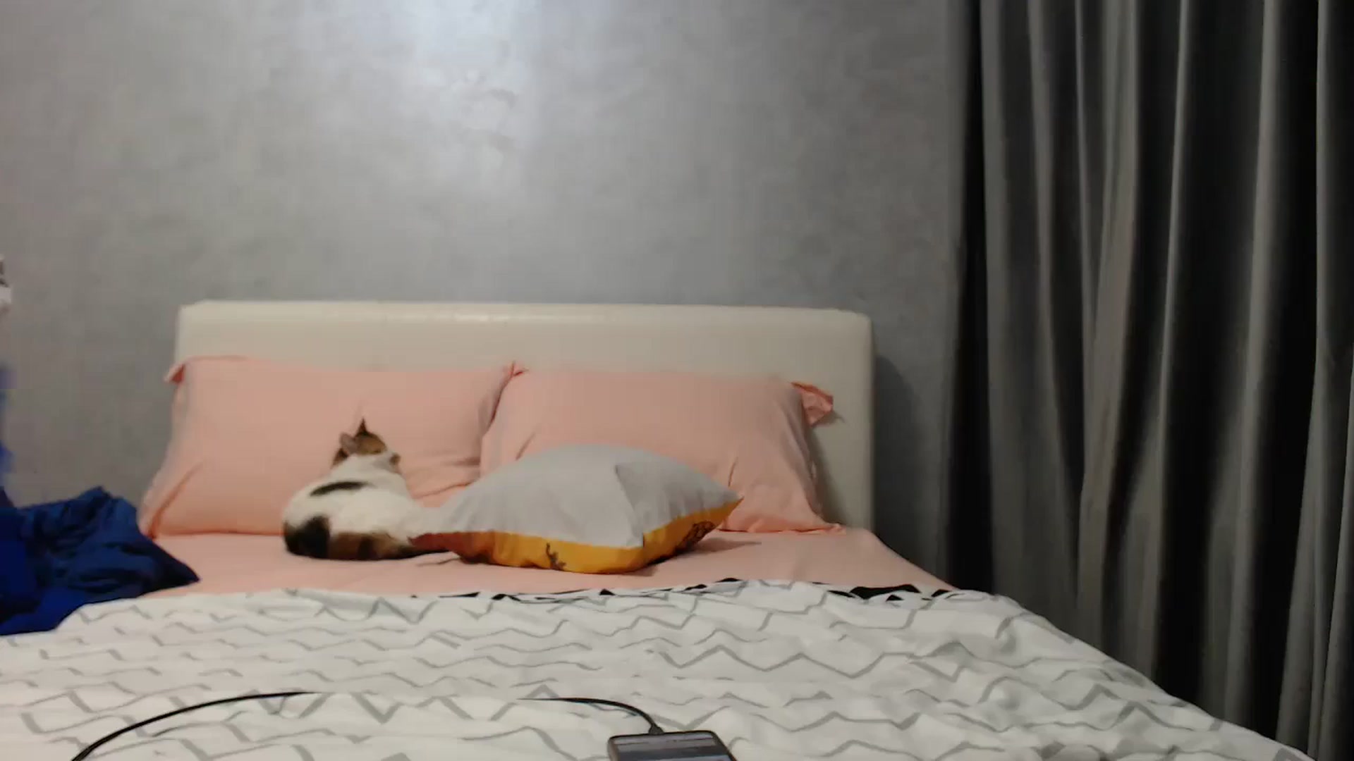 Gallery image thumbnail from Aahh_Emilia's myfreecams stream on, 04/30/2025, 16:33 image 9 of 20