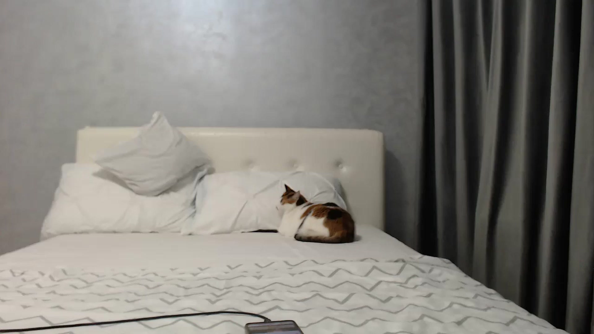 Gallery image thumbnail from Aahh_Emilia's myfreecams stream on, 05/06/2025, 17:01 image 13 of 20