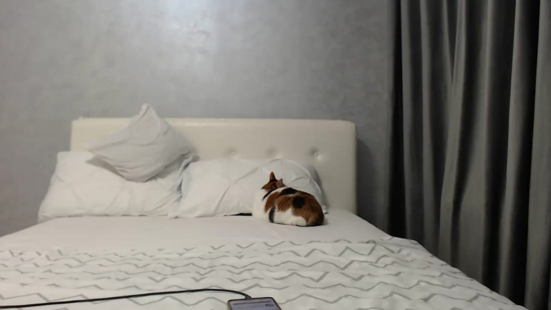 Gallery image thumbnail from Aahh_Emilia's myfreecams stream on, 05/06/2025, 17:01 image 14 of 20