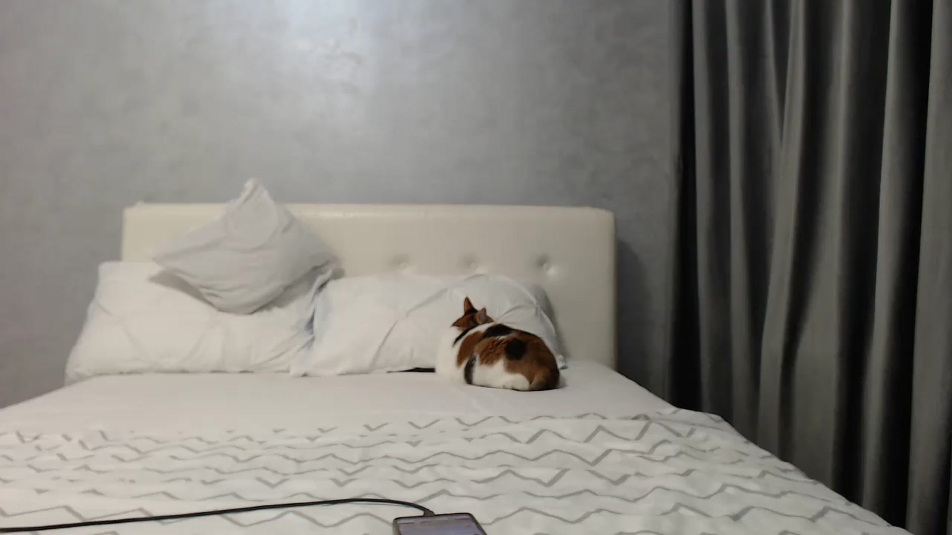 Gallery image thumbnail from Aahh_Emilia's myfreecams stream on, 05/06/2025, 17:01 image 15 of 20