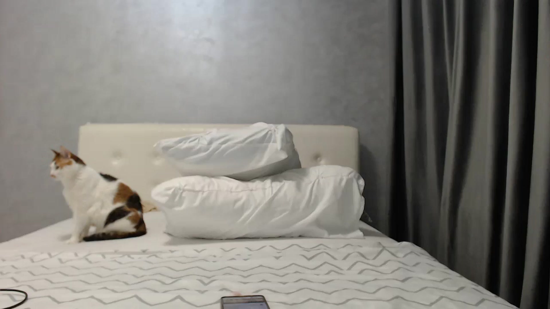 Gallery image thumbnail from Aahh_Emilia's myfreecams stream on, 05/06/2025, 18:47 image 16 of 20