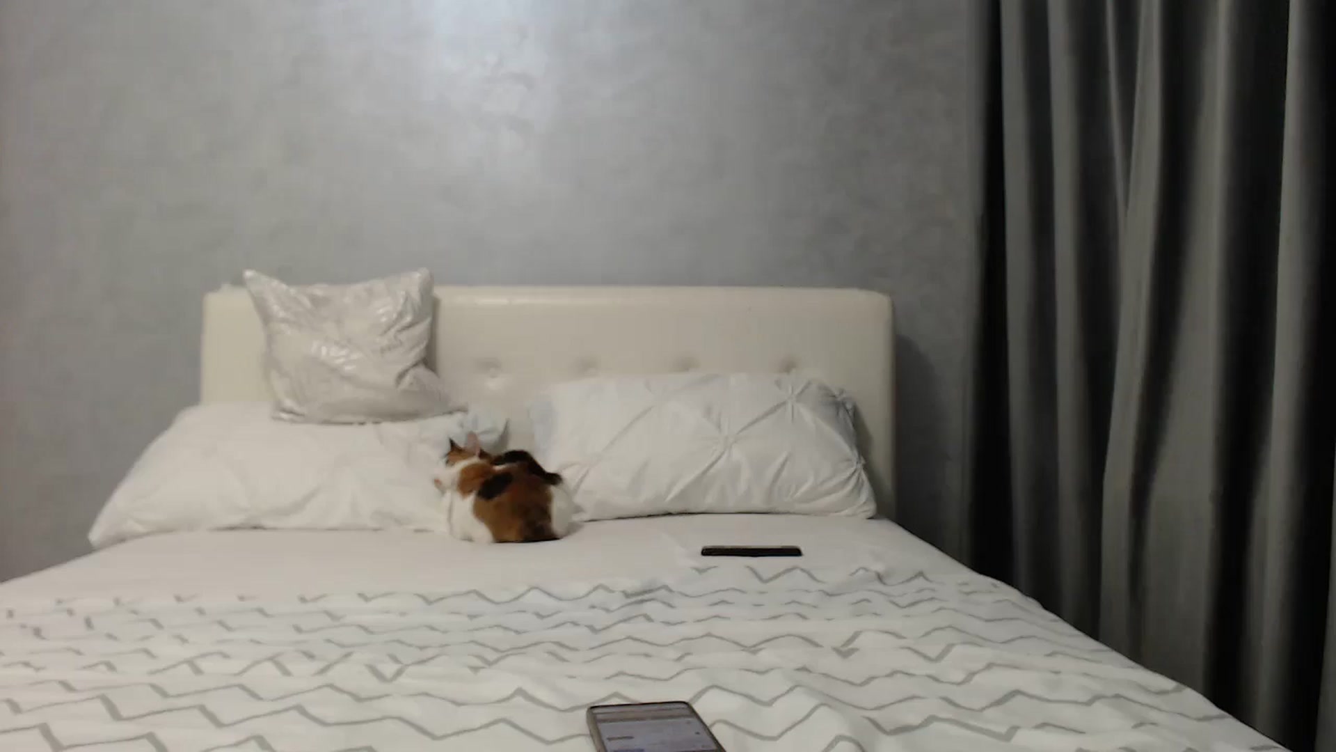 Gallery image thumbnail from Aahh_Emilia's myfreecams stream on, 05/08/2025, 16:54 image 10 of 20