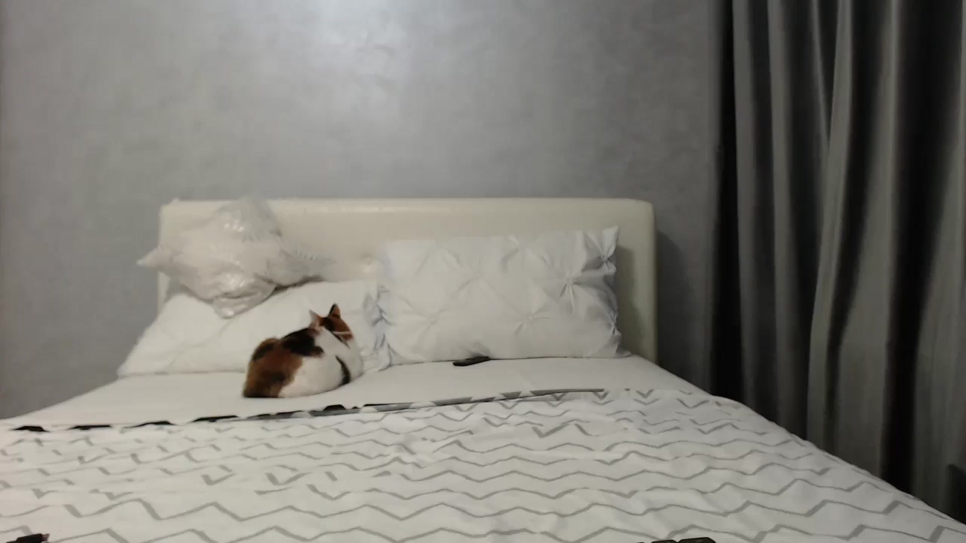 Gallery image thumbnail from Aahh_Emilia's myfreecams stream on, 05/09/2025, 16:36 image 15 of 20