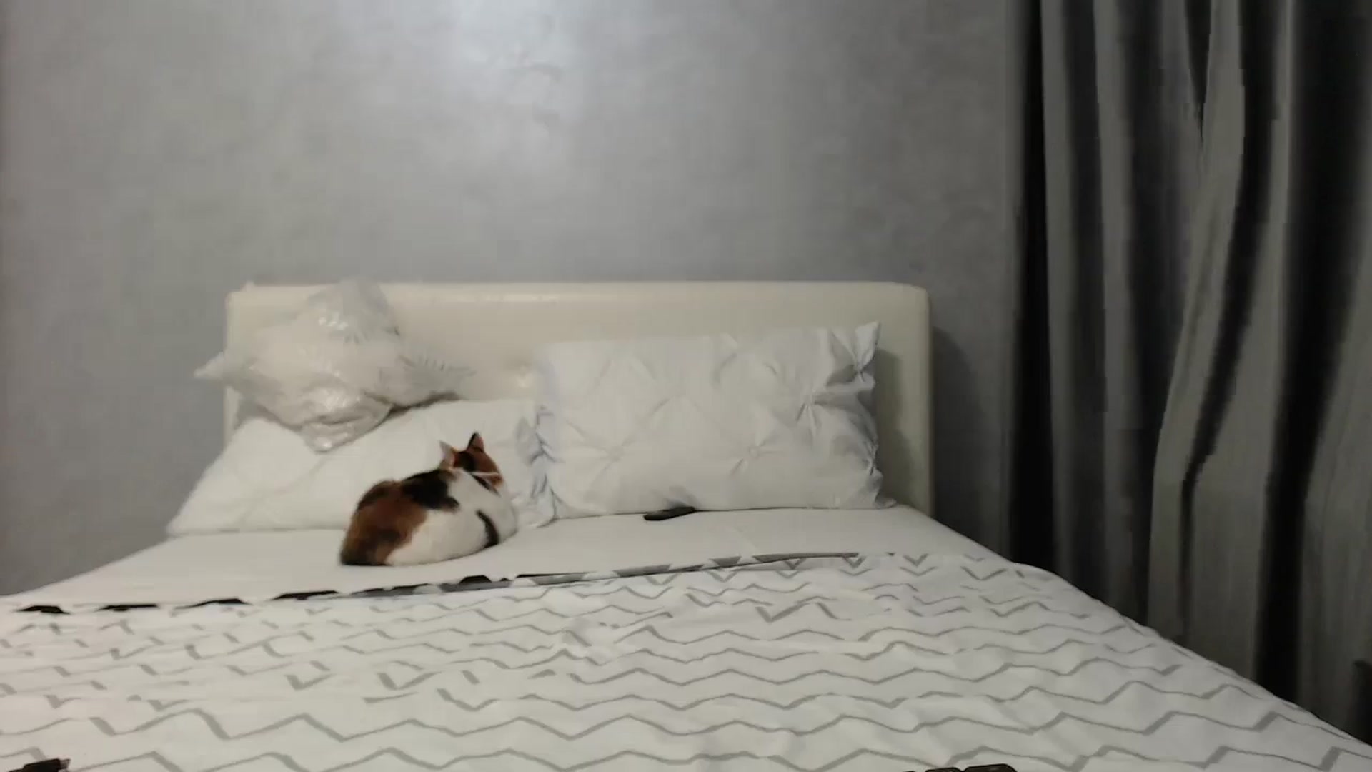 Gallery image thumbnail from Aahh_Emilia's myfreecams stream on, 05/09/2025, 16:36 image 16 of 20