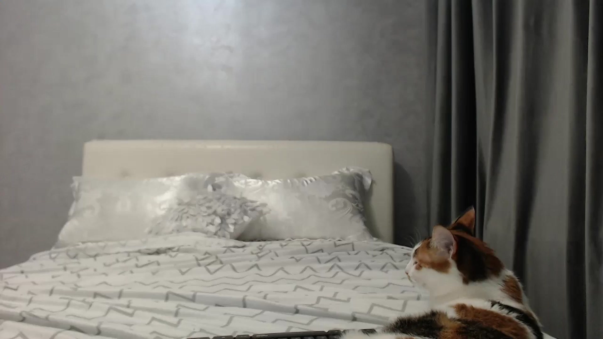 Gallery image thumbnail from Aahh_Emilia's myfreecams stream on, 05/12/2025, 16:21 image 2 of 20