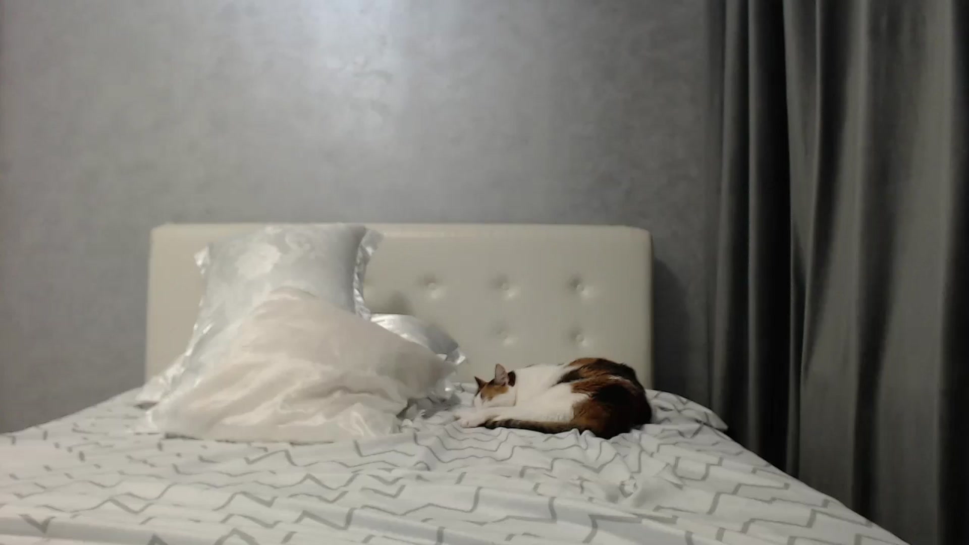 Gallery image thumbnail from Aahh_Emilia's myfreecams stream on, 05/12/2025, 18:10 image 16 of 20