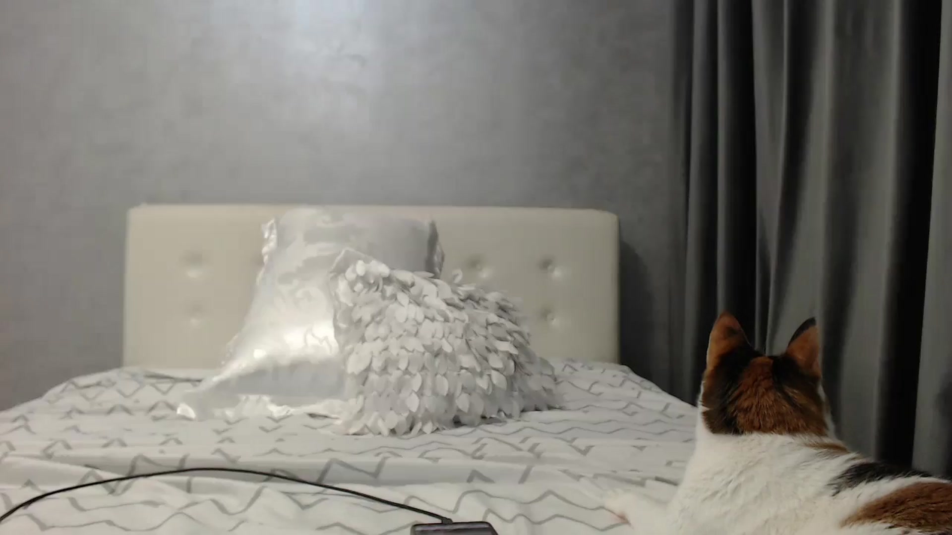 Gallery image thumbnail from Aahh_Emilia's myfreecams stream on, 05/13/2025, 18:37 image 13 of 20