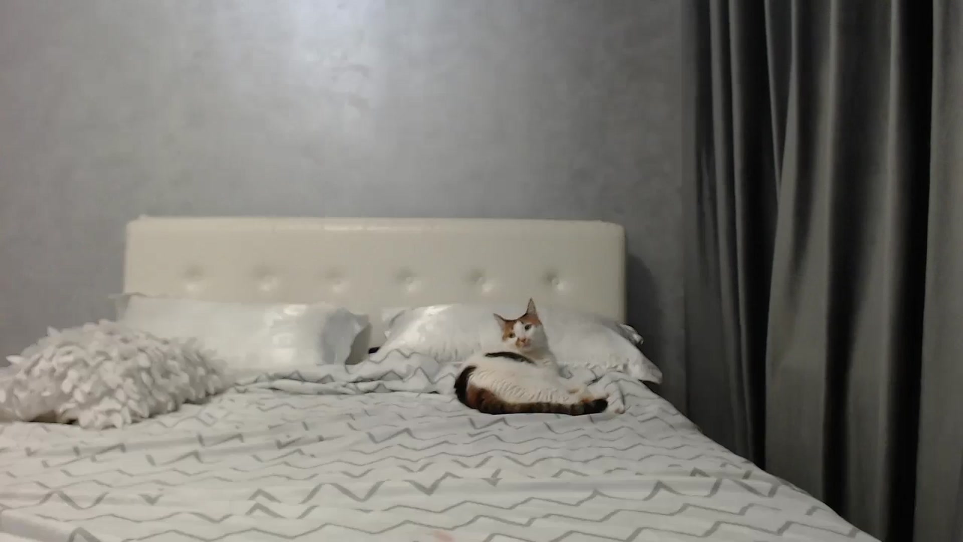 Gallery image thumbnail from Aahh_Emilia's myfreecams stream on, 05/21/2025, 15:46 image 20 of 20