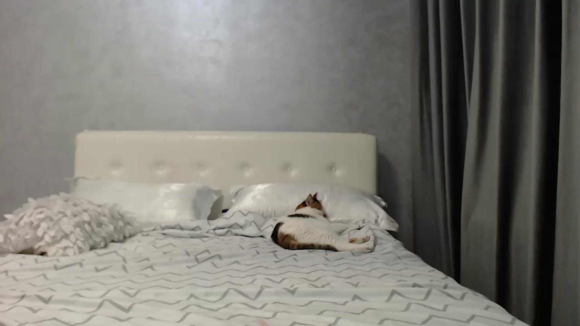 Gallery image thumbnail from Aahh_Emilia's myfreecams stream on, 05/21/2025, 16:33 image 17 of 20