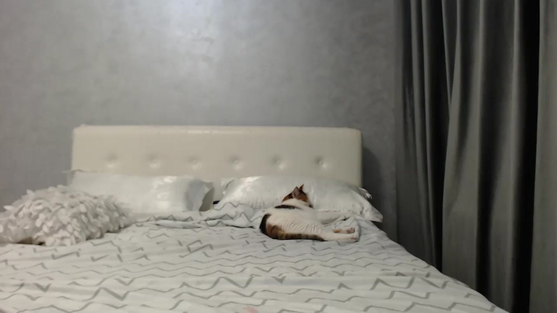 Gallery image thumbnail from Aahh_Emilia's myfreecams stream on, 05/21/2025, 16:33 image 15 of 20