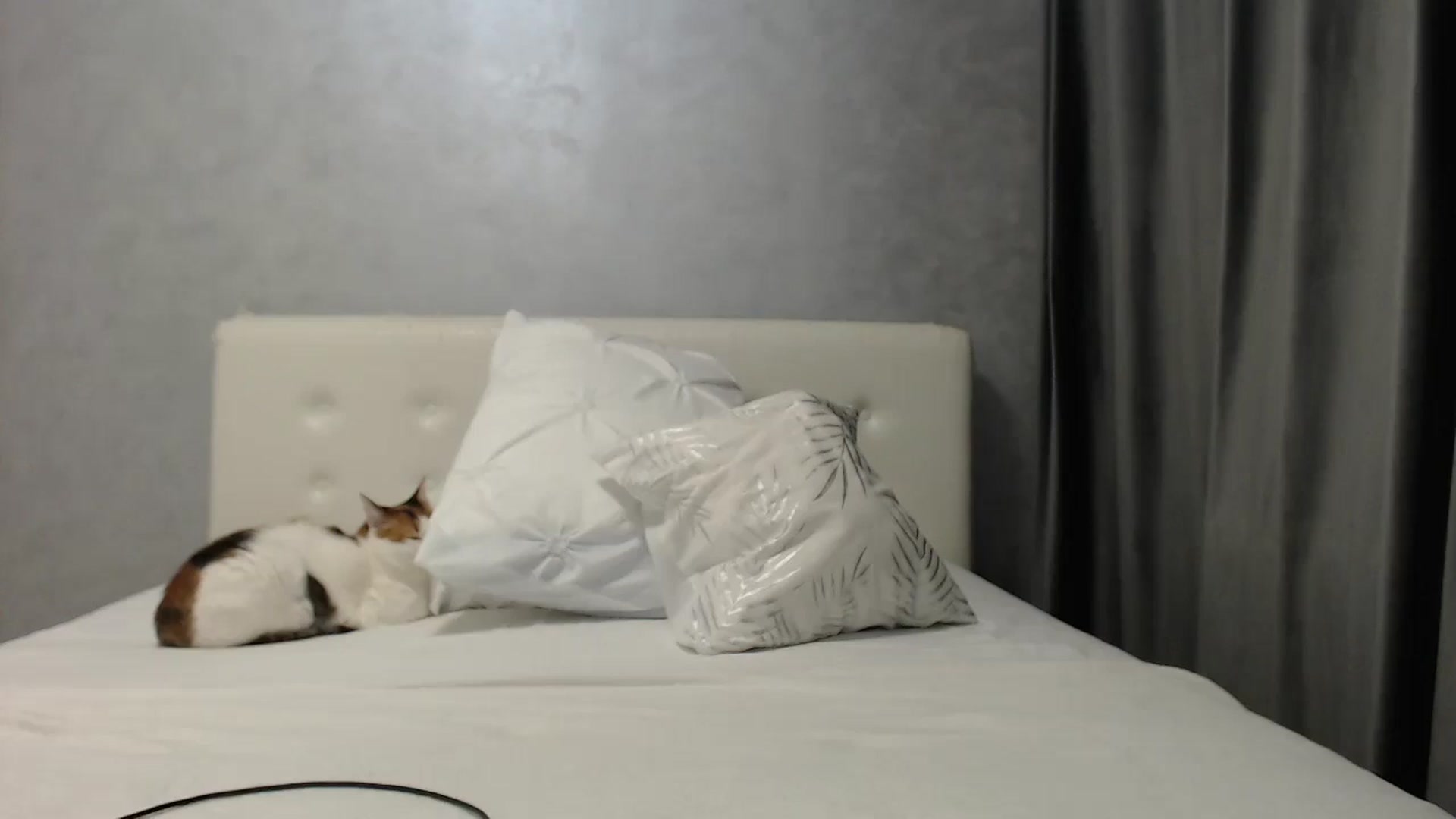 Gallery image thumbnail from Aahh_Emilia's myfreecams stream on, 05/24/2025, 18:03 image 16 of 20
