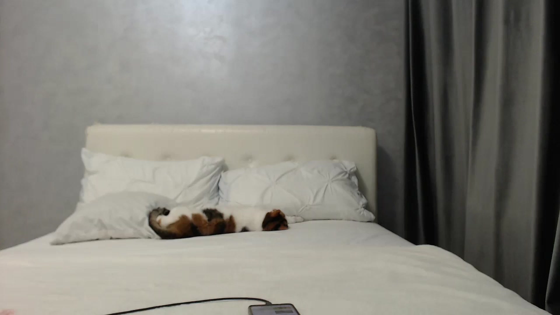 Gallery image thumbnail from Aahh_Emilia's myfreecams stream on, 05/25/2025, 16:45 image 13 of 20