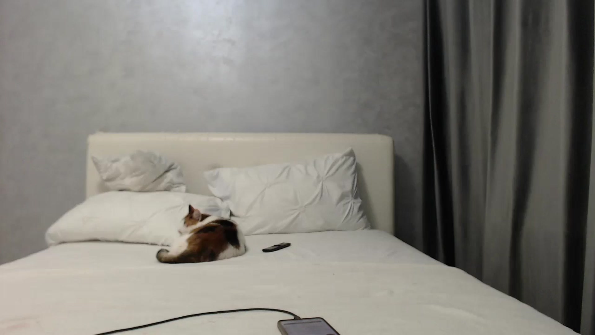 Gallery image thumbnail from Aahh_Emilia's myfreecams stream on, 05/26/2025, 16:42 image 14 of 20