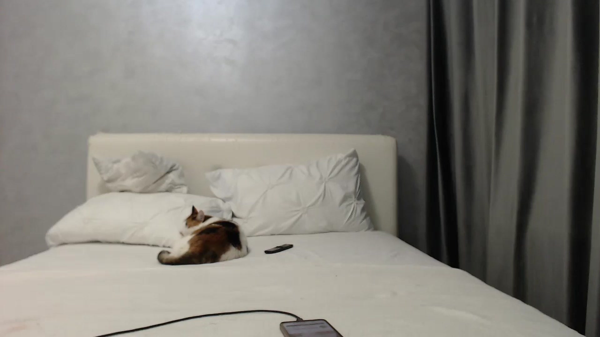 Gallery image thumbnail from Aahh_Emilia's myfreecams stream on, 05/26/2025, 16:42 image 15 of 20