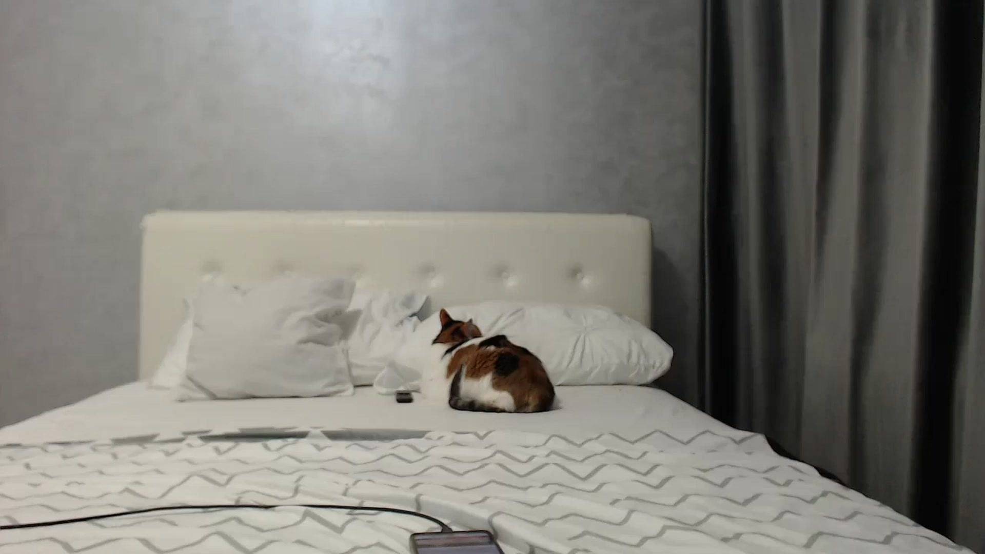 Gallery image thumbnail from Aahh_Emilia's myfreecams stream on, 05/28/2025, 17:14 image 20 of 20