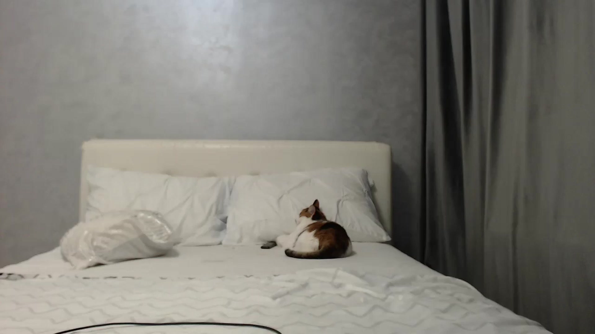 Gallery image thumbnail from Aahh_Emilia's myfreecams stream on, 05/30/2025, 16:40 image 14 of 20