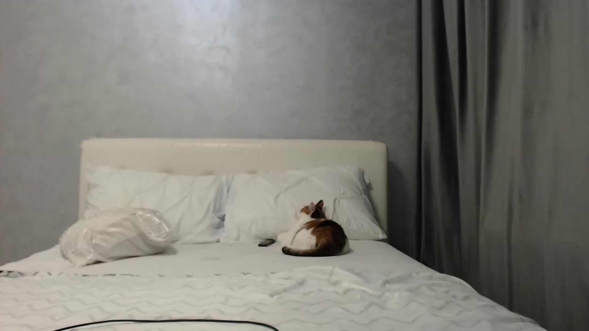 Gallery image thumbnail from Aahh_Emilia's myfreecams stream on, 05/30/2025, 16:40 image 15 of 20