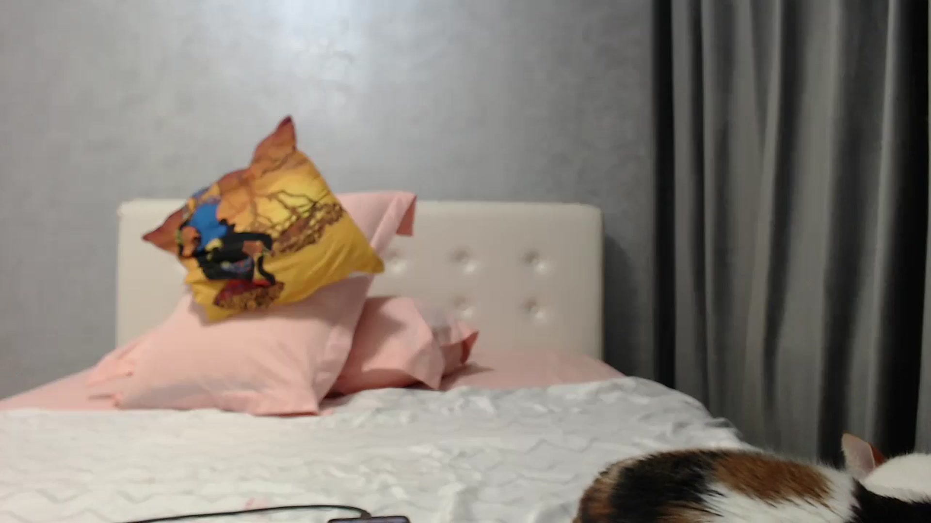 Gallery image thumbnail from Aahh_Emilia's myfreecams stream on, 05/31/2025, 18:29 image 17 of 20