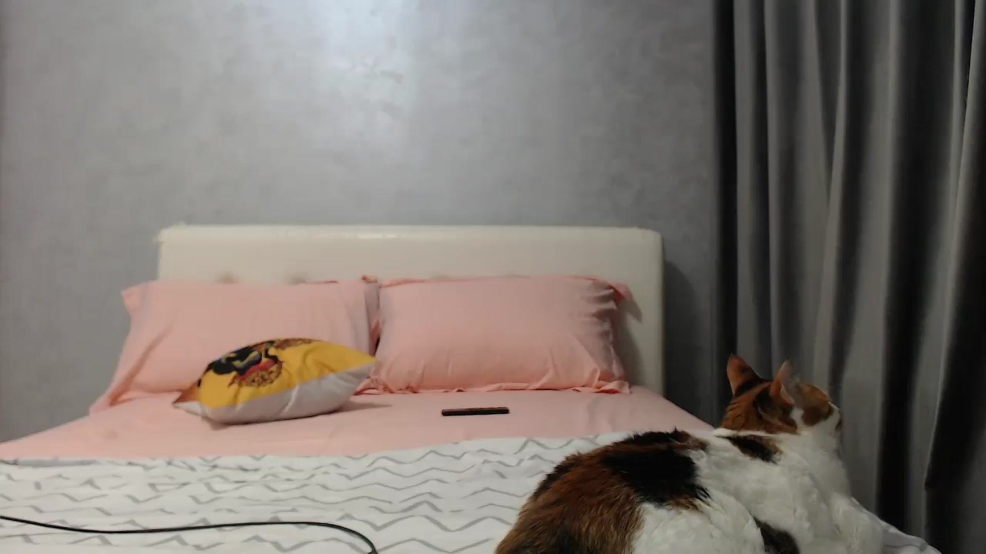 Gallery image thumbnail from Aahh_Emilia's myfreecams stream on, 06/02/2025, 16:55 image 12 of 20
