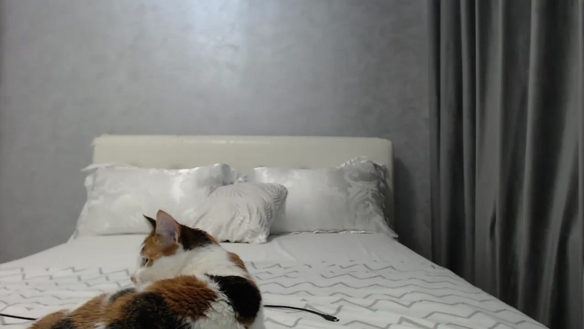 Gallery image thumbnail from Aahh_Emilia's myfreecams stream on, 06/07/2025, 16:44 image 15 of 20