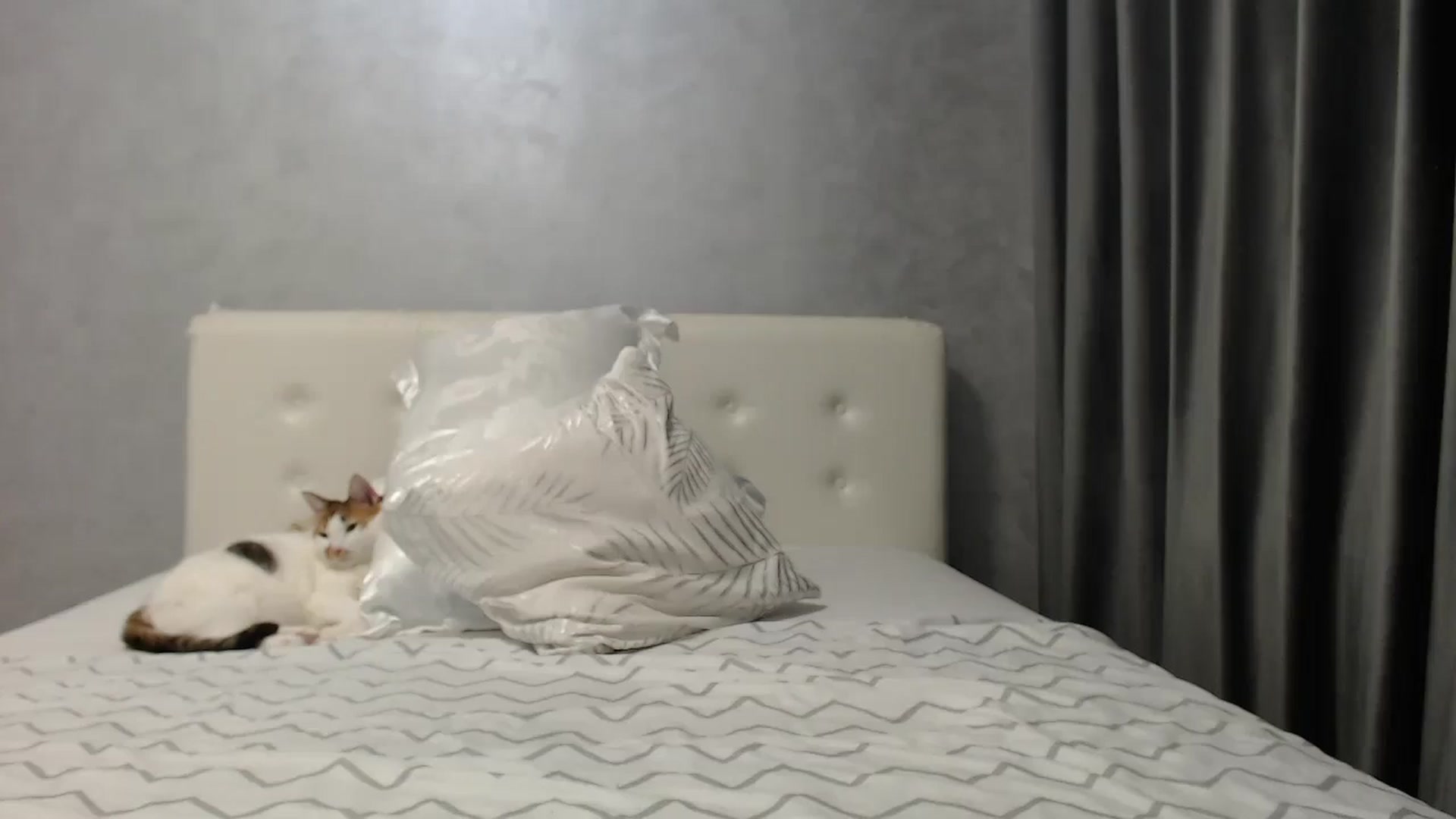 Gallery image thumbnail from Aahh_Emilia's myfreecams stream on, 06/10/2025, 17:59 image 14 of 20