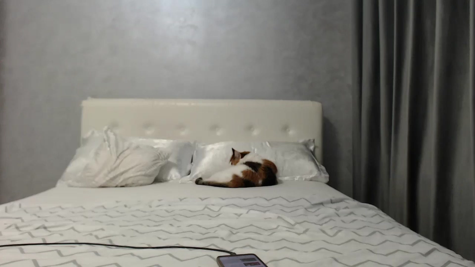 Gallery image thumbnail from Aahh_Emilia's myfreecams stream on, 06/11/2025, 16:32 image 17 of 20