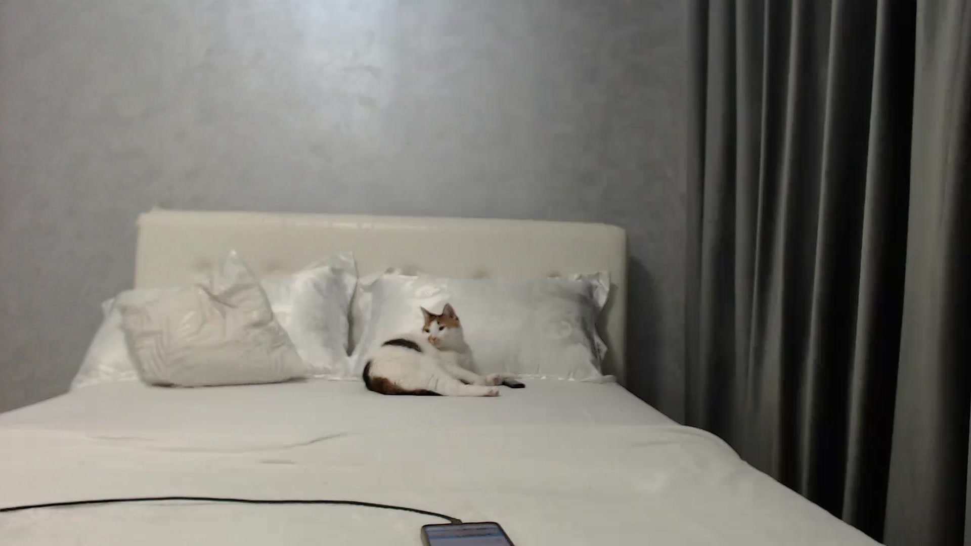 Gallery image thumbnail from Aahh_Emilia's myfreecams stream on, 06/12/2025, 16:59 image 18 of 20
