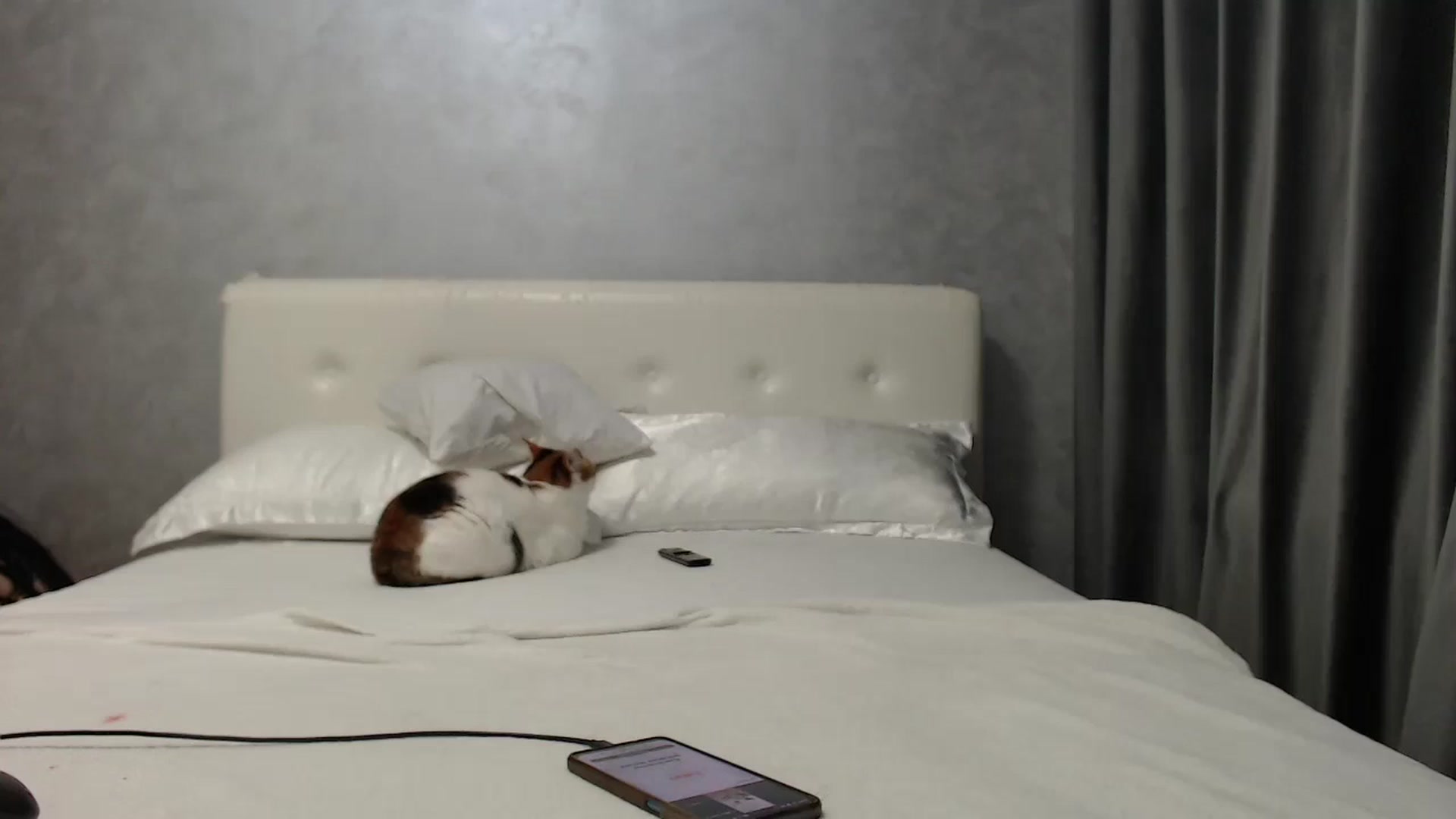 Gallery image thumbnail from Aahh_Emilia's myfreecams stream on, 06/15/2025, 16:48 image 1 of 20