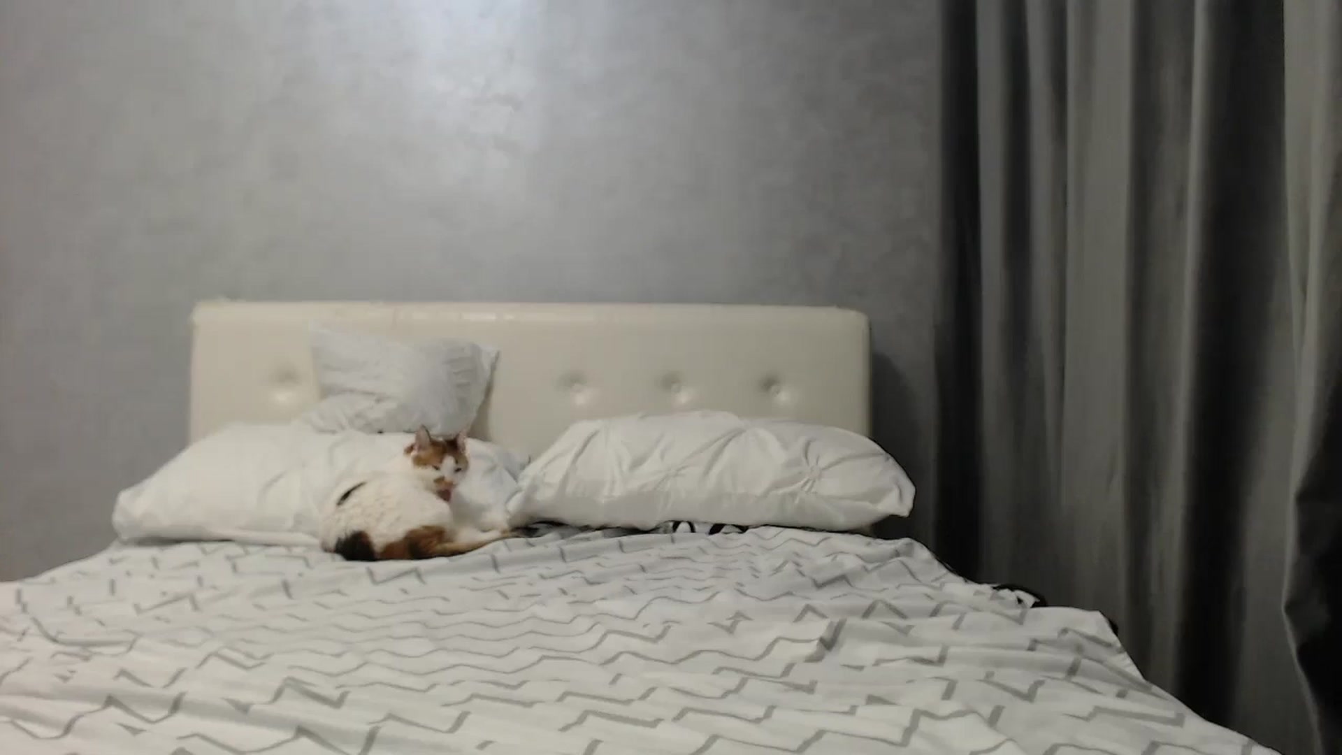 Gallery image thumbnail from Aahh_Emilia's myfreecams stream on, 06/19/2025, 16:51 image 15 of 20