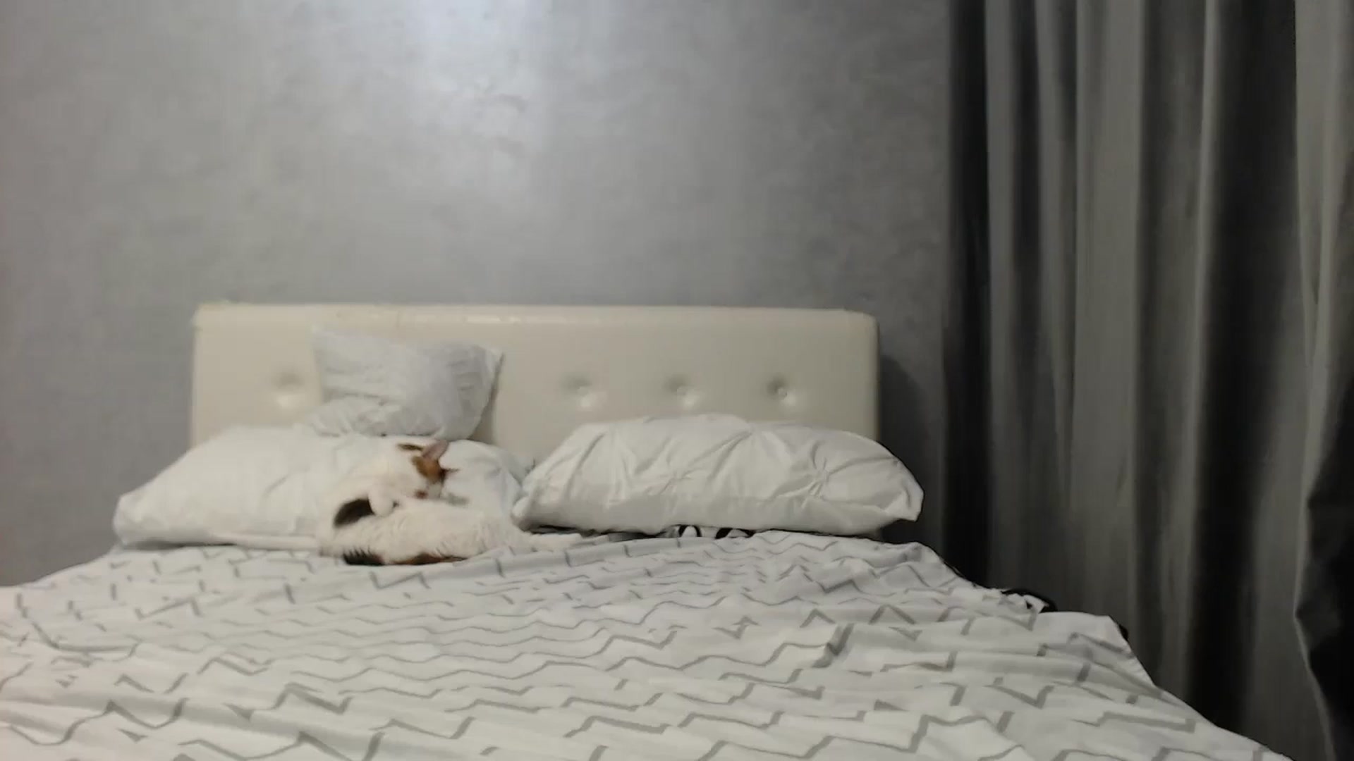 Gallery image thumbnail from Aahh_Emilia's myfreecams stream on, 06/19/2025, 16:51 image 14 of 20