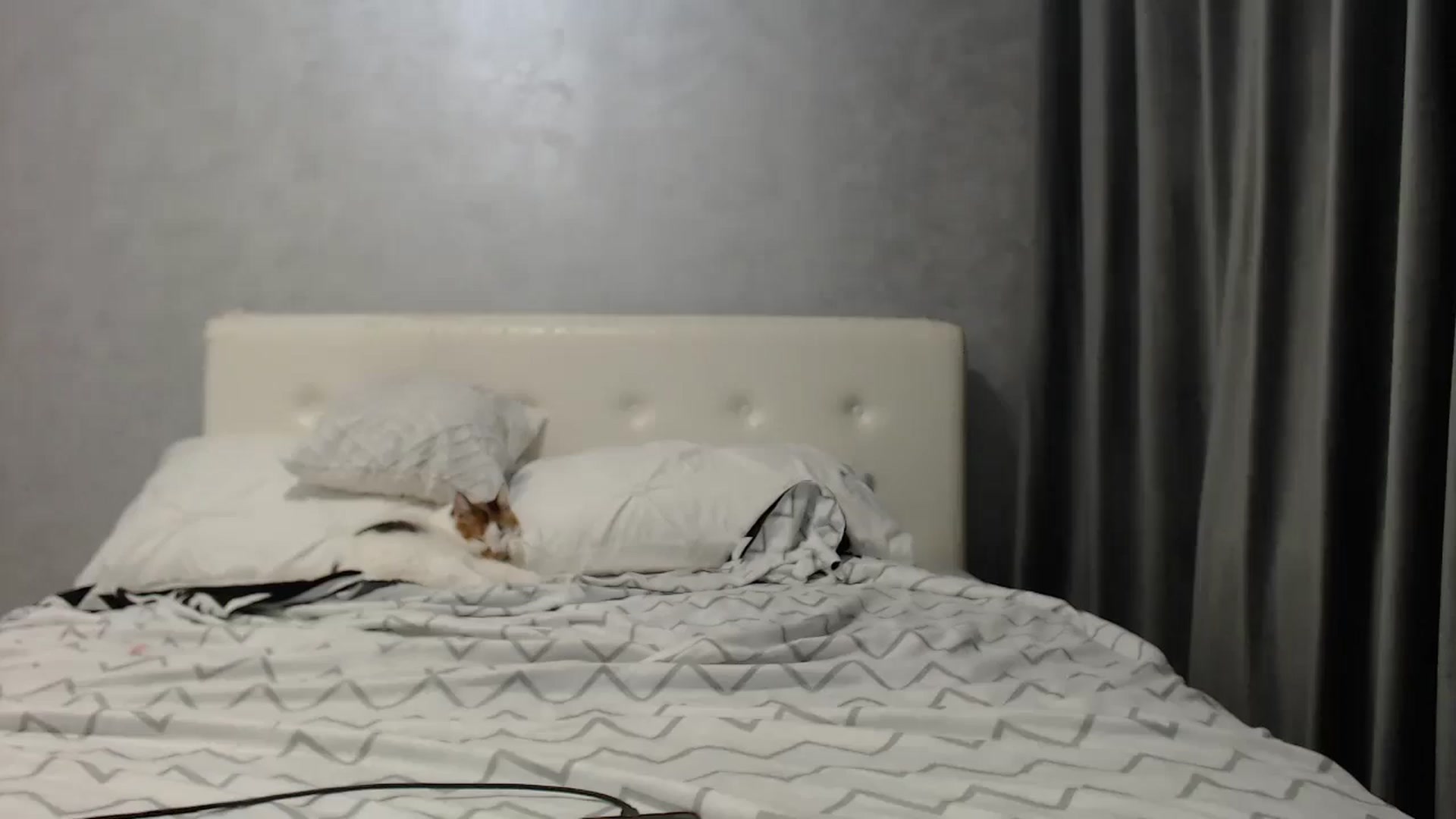 Gallery image thumbnail from Aahh_Emilia's myfreecams stream on, 06/22/2025, 17:05 image 8 of 20