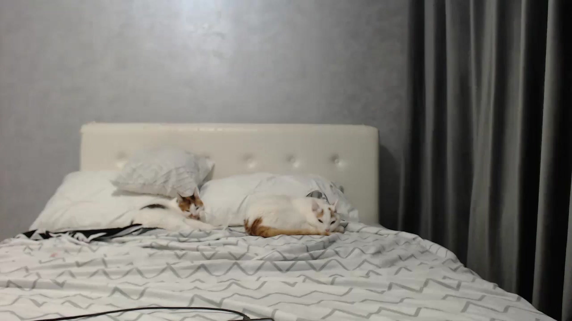 Gallery image thumbnail from Aahh_Emilia's myfreecams stream on, 06/22/2025, 17:05 image 7 of 20