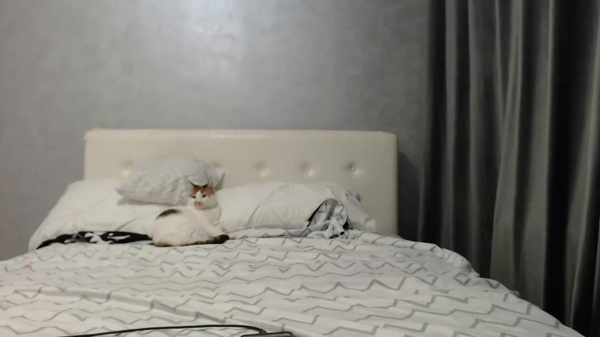 Gallery image thumbnail from Aahh_Emilia's myfreecams stream on, 06/22/2025, 17:05 image 15 of 20