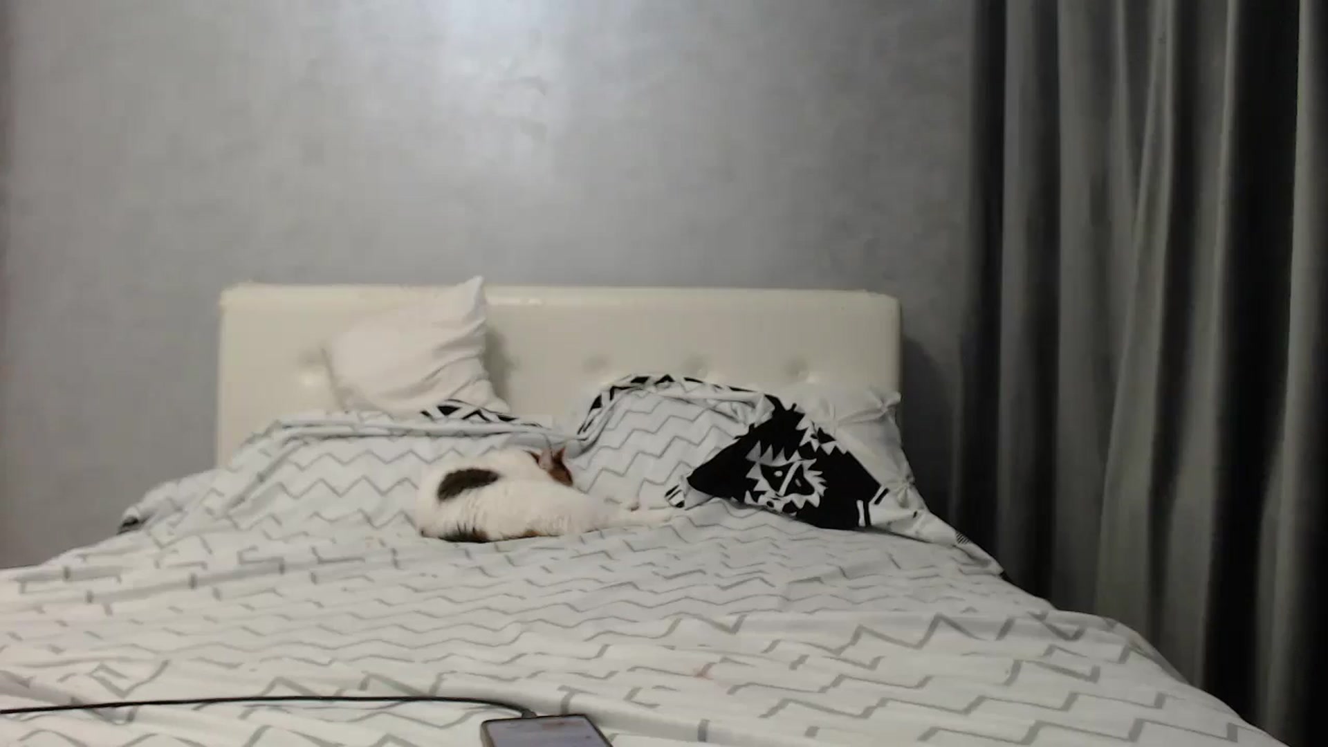 Gallery image thumbnail from Aahh_Emilia's myfreecams stream on, 06/24/2025, 17:45 image 13 of 20