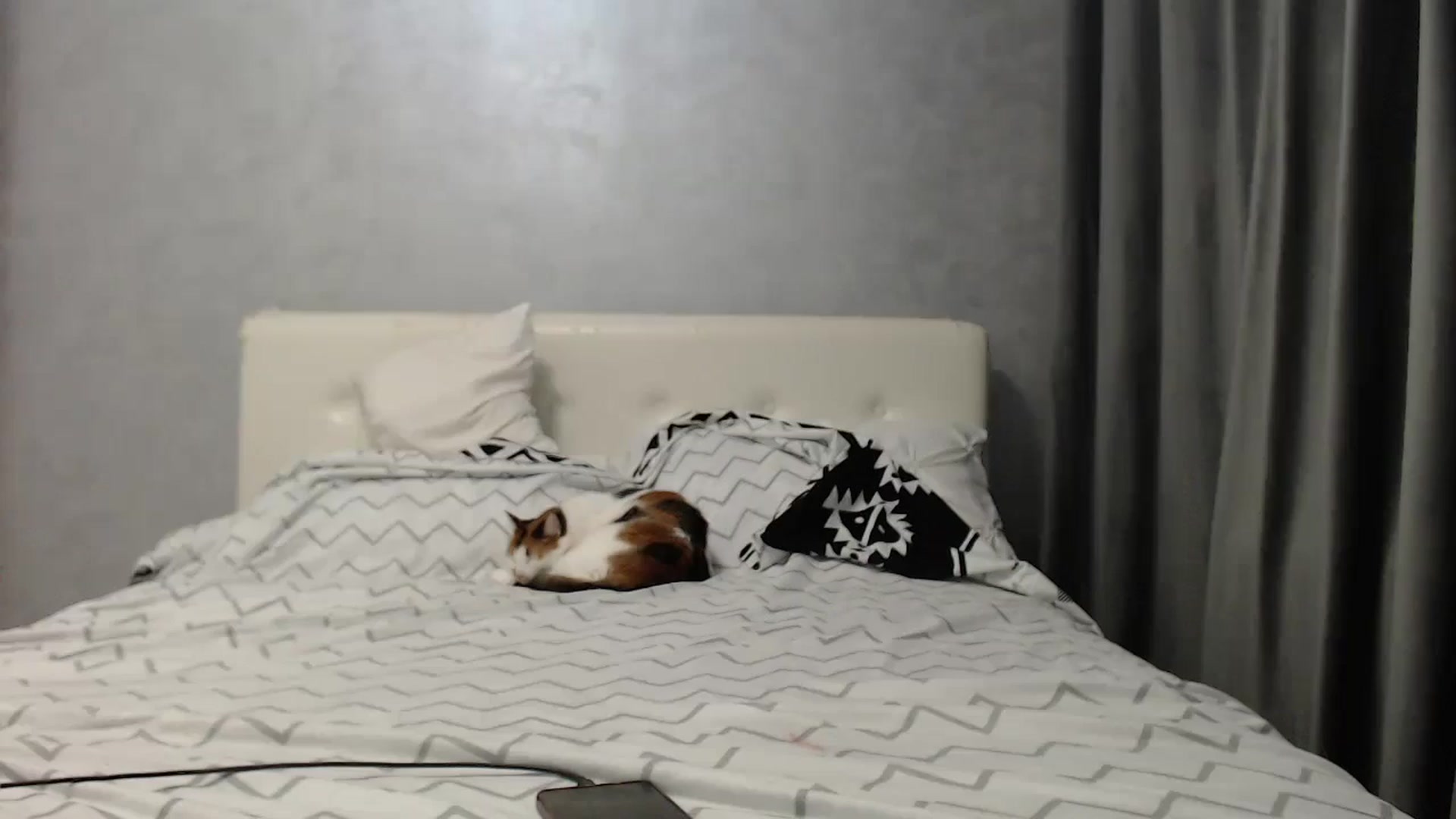Gallery image thumbnail from Aahh_Emilia's myfreecams stream on, 06/24/2025, 17:45 image 8 of 20