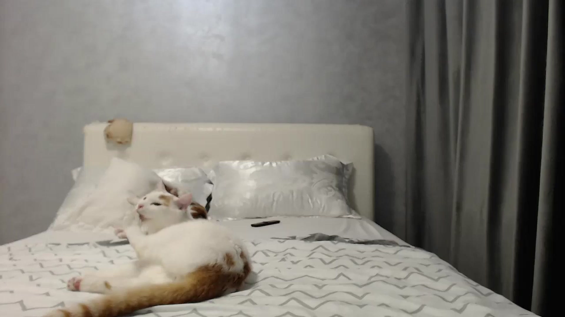 Gallery image thumbnail from Aahh_Emilia's myfreecams stream on, 06/28/2025, 17:15 image 18 of 20