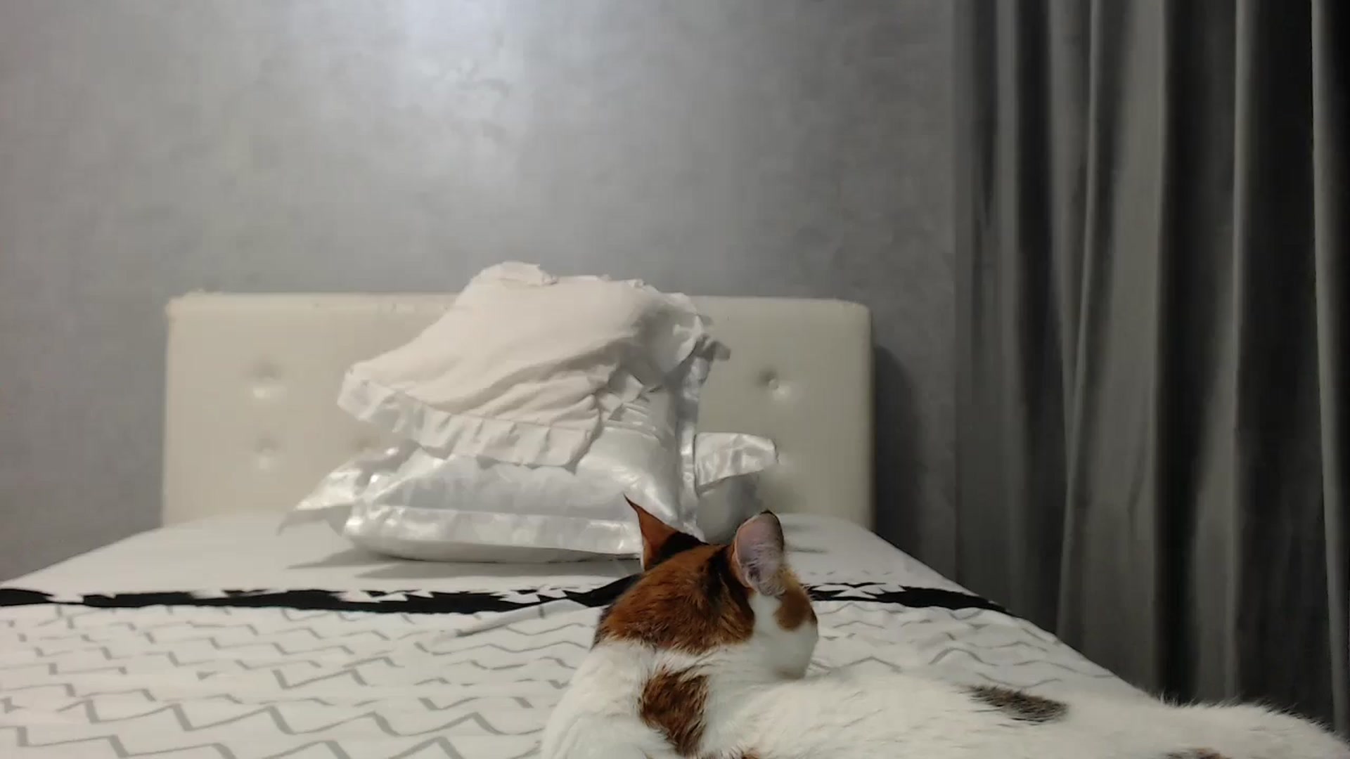 Gallery image thumbnail from Aahh_Emilia's myfreecams stream on, 06/29/2025, 18:20 image 12 of 20
