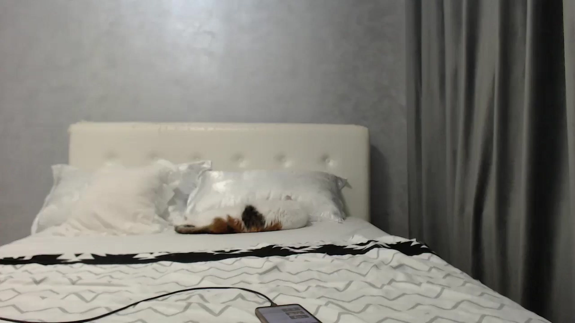 Gallery image thumbnail from Aahh_Emilia's myfreecams stream on, 06/30/2025, 16:14 image 18 of 20