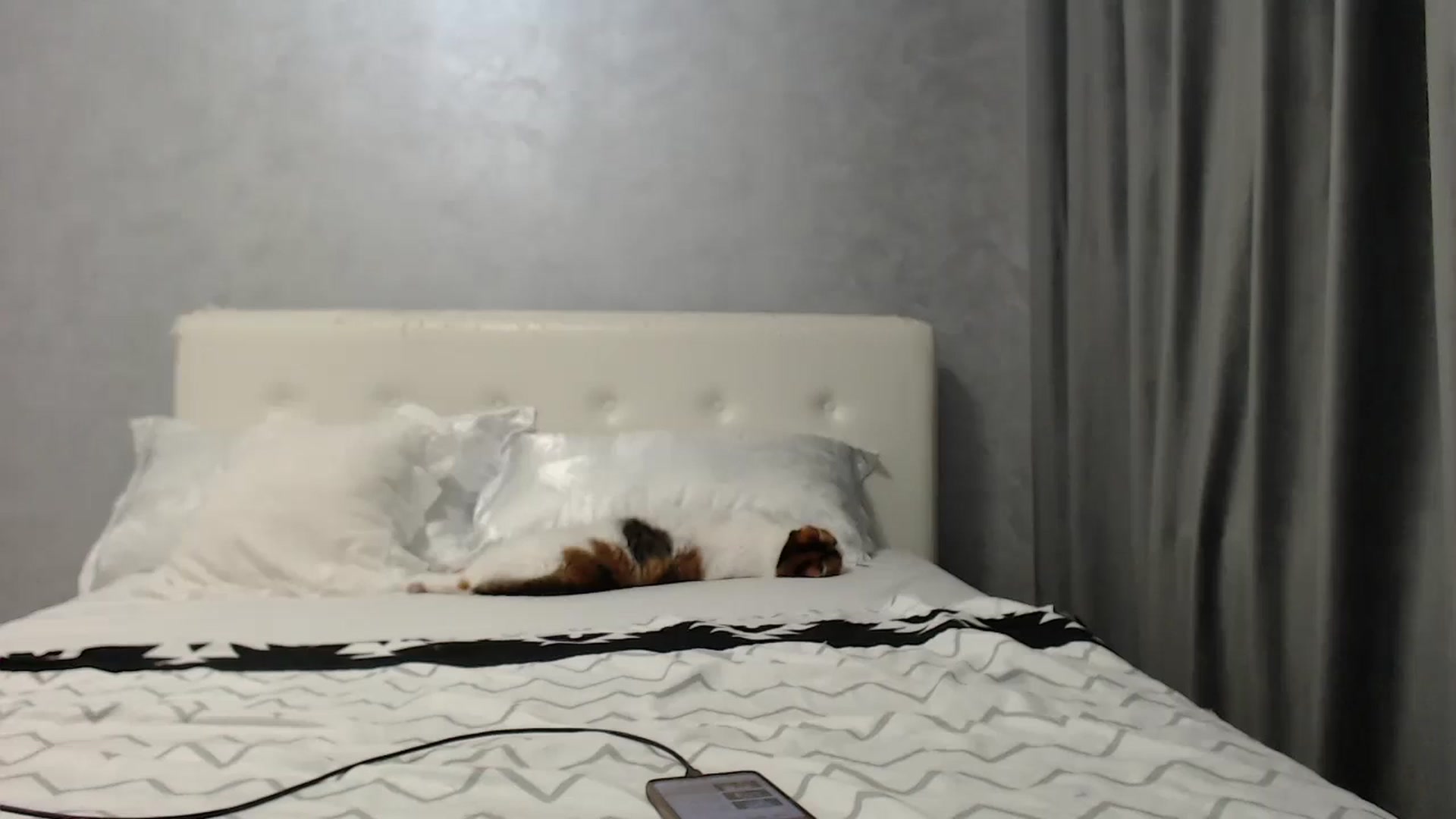 Gallery image thumbnail from Aahh_Emilia's myfreecams stream on, 06/30/2025, 16:14 image 15 of 20