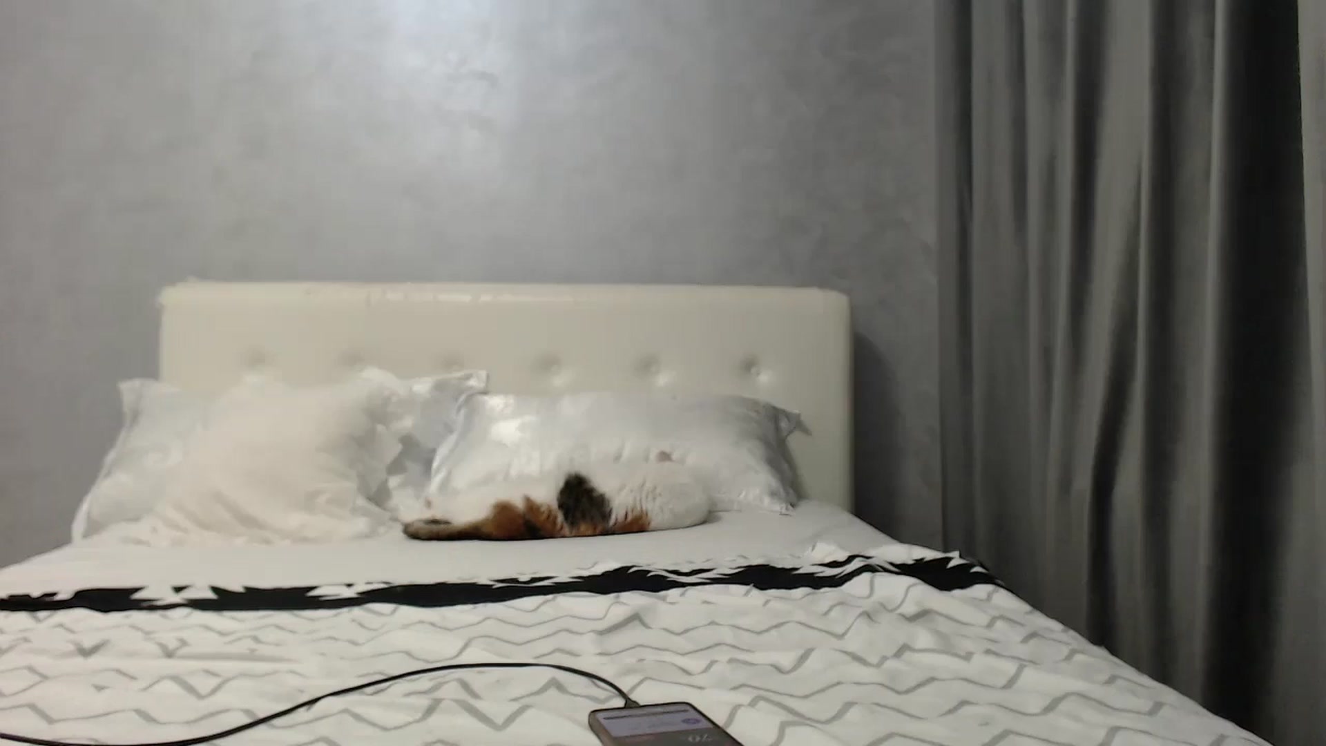 Gallery image thumbnail from Aahh_Emilia's myfreecams stream on, 06/30/2025, 16:14 image 17 of 20