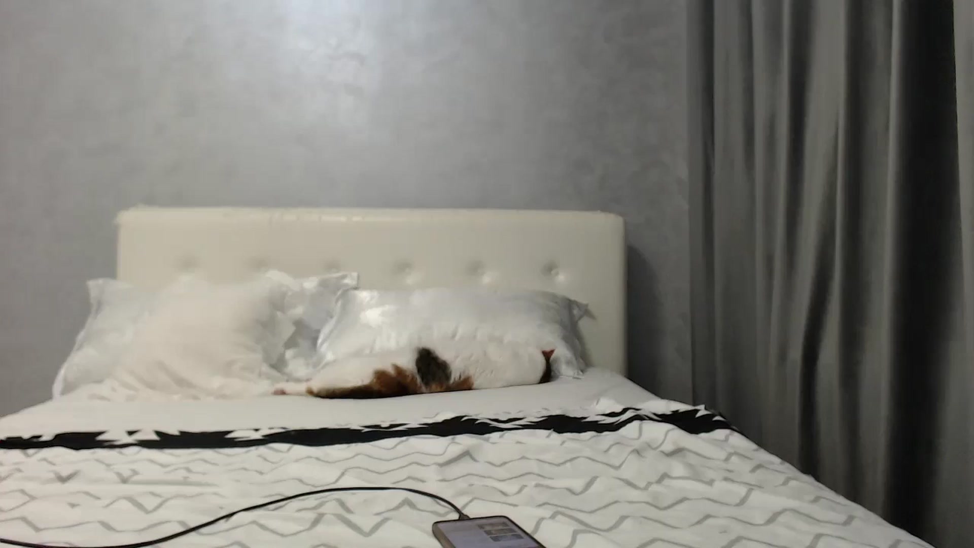 Gallery image thumbnail from Aahh_Emilia's myfreecams stream on, 06/30/2025, 16:14 image 16 of 20