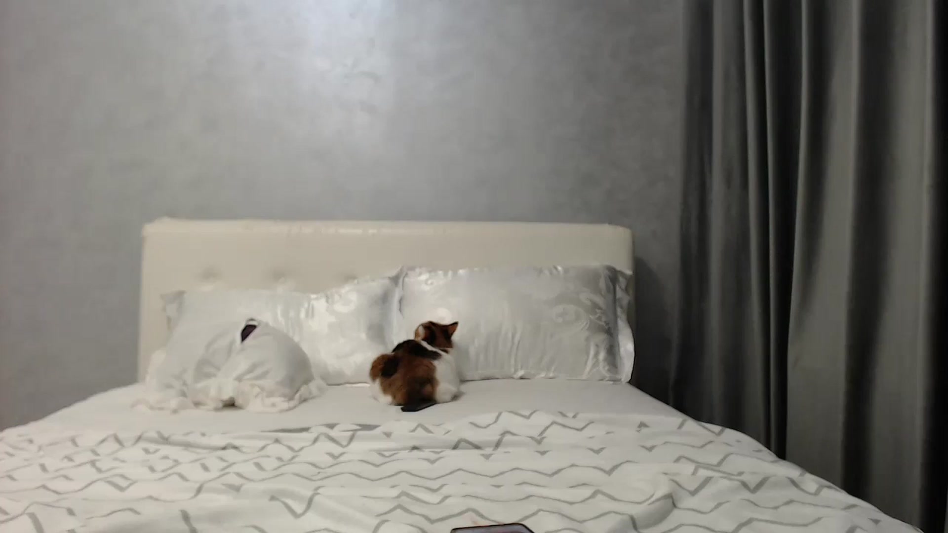 Gallery image thumbnail from Aahh_Emilia's myfreecams stream on, 07/02/2025, 16:45 image 14 of 20