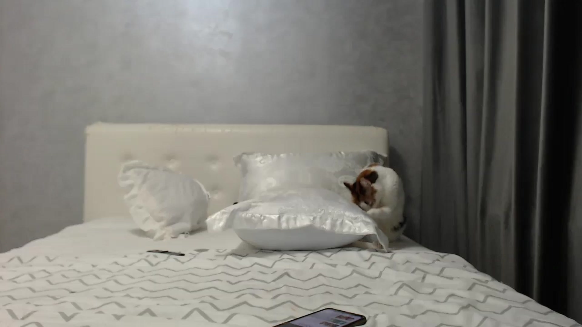 Gallery image thumbnail from Aahh_Emilia's myfreecams stream on, 07/02/2025, 18:20 image 16 of 20
