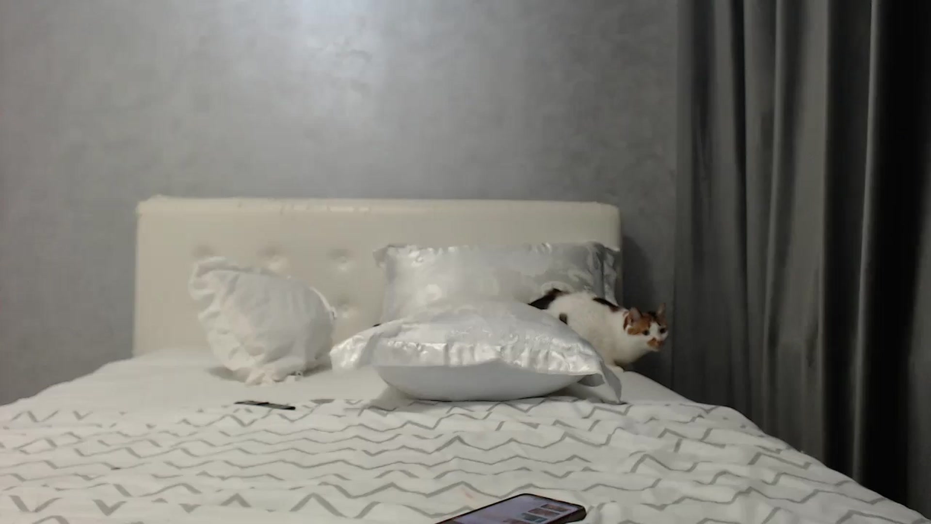 Gallery image thumbnail from Aahh_Emilia's myfreecams stream on, 07/02/2025, 18:20 image 15 of 20